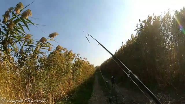 РЫБАЛКА на ВЕЛОБАЙКЕ. Частный пруд. Город Лабинск. КУБАНЬ КЛАСС. Живите в Кайф! смотреть онлайн