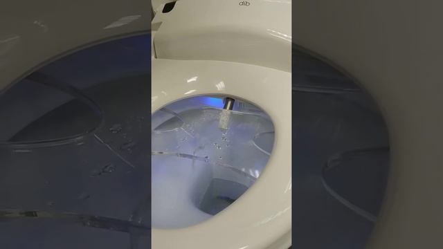 Демонстрация биде и краткий обзор смотреть онлайн