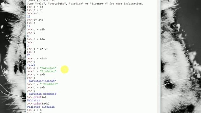 3 . Basic and Special Mathematical Operators in Python Urdu/Hindi смотреть онлайн
