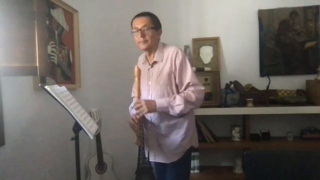 W. A. Mozart, Sonata K 280, Allegro, set for alto recorder смотреть онлайн