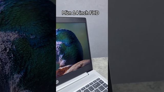 HP ProBook 445 G7 cấu hình mạnh mẽ đáp ứng hầu hết các nhu cầu văn phòng và giải trí thông thường. смотреть онлайн