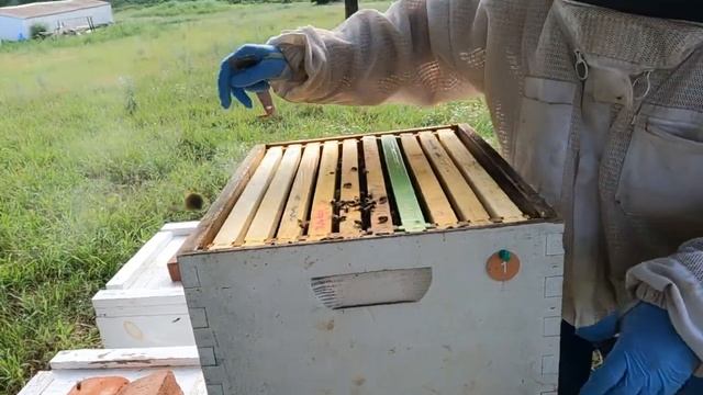 How To Setup Two Queen Hive смотреть онлайн