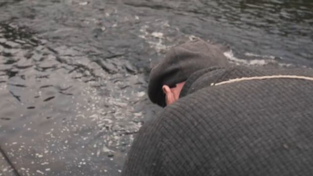 Floating Flies | Full Film 2020 смотреть онлайн