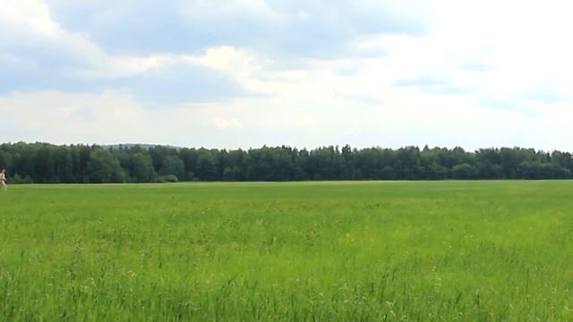 ТРУТОВИК - полезные свойства | Utility Fungi смотреть онлайн