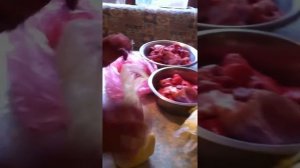 Чем кормить котенка мейнкун кун питомник "Яросвет"