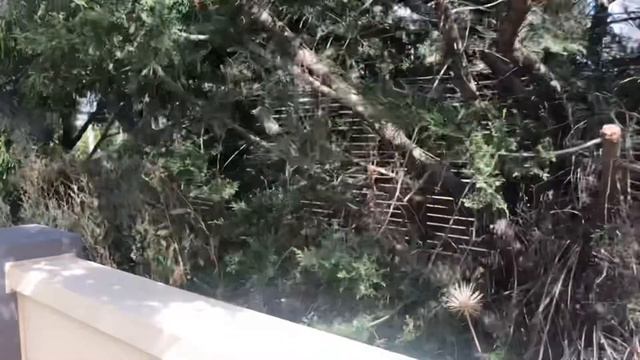 Дома и сады. Австралия. смотреть онлайн