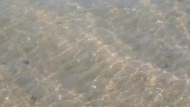 Бердянск.Пляж АКЗ. ул.Бахчисарайская смотреть онлайн