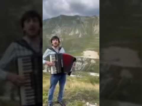 Магомед Шамсудинов смотреть онлайн