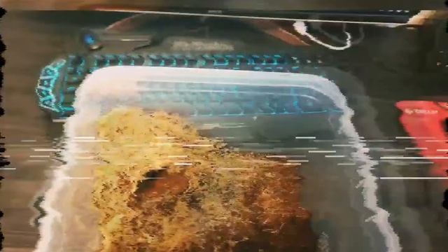 террариум для паука птицееда, своими руками смотреть онлайн