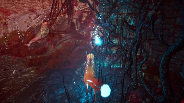 освещая путь/Spirit Of The North/#4