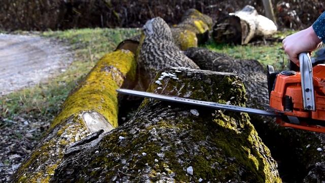 Husqvarna 555 Chainsaw Review & Test