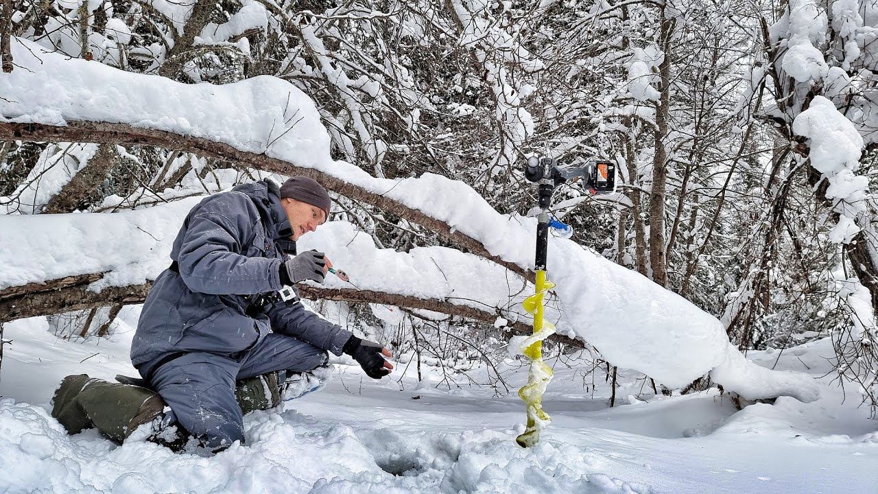 НЕВЕРОЯТНО! РУЧЕЙ ПО КОЛЕНО А КАКАЯ РЫБА!!! В РЕАЛЬНЫЕ ДЕБРИ ТАЙГИ НА РЫБАЛКУ! смотреть онлайн