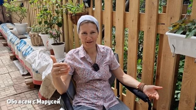 ТЛЯ И МУРАВЬИ ИСЧЕЗНУТ НАВСЕГДА ? НАРОДНЫЕ СРЕДСТВА БОРЬБЫ РАБОТАЮТ ЕСЛИ ДЕЛАТЬ ТАК@obovsemsmarusya смотреть онлайн