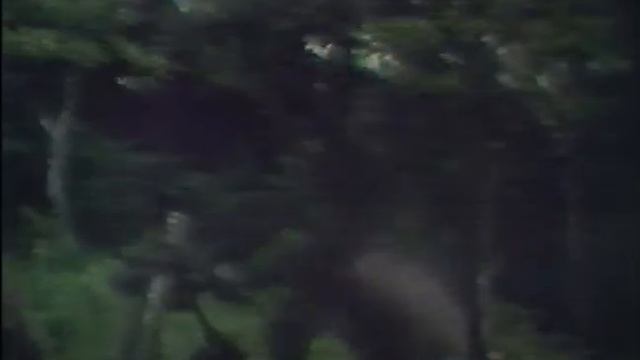 Revolución Sandinista (Documentales Canal 13 México)