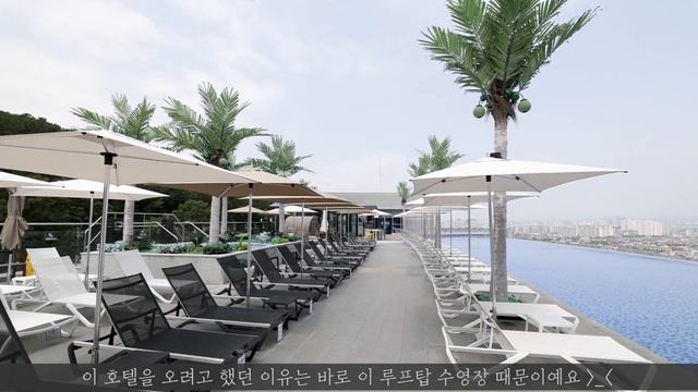 SUB) 여름 호캉스 대구여행 / 대구 수성호텔 한국의 마리나베이샌즈 루프탑 수영장, 엘디스리젠트호텔, 대구맛집, 루이비통 알마BB 언박싱 смотреть онлайн