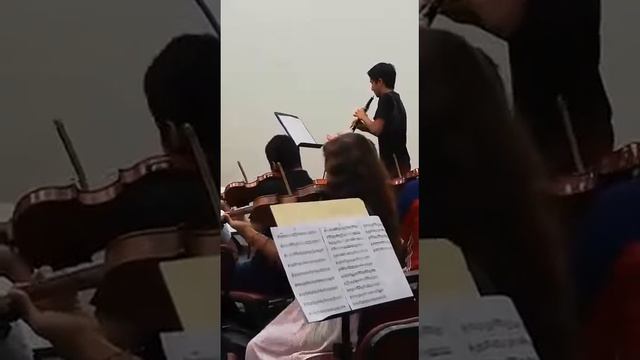 ALBINONI OP.9 N.2 - Concierto para Oboe - Adagio смотреть онлайн