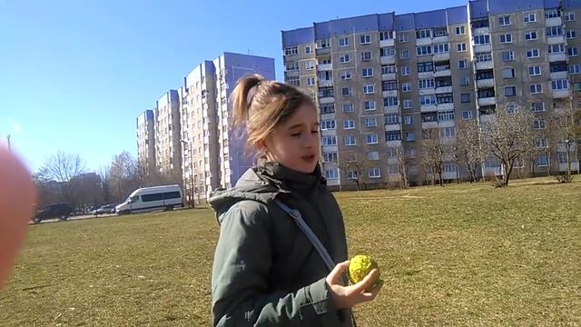 КАК ПРАВИЛЬНО ЧЕСАТЬ СОБАКУ! / ЖЖЖЕЕЕСССТТТЬЬЬ. смотреть онлайн