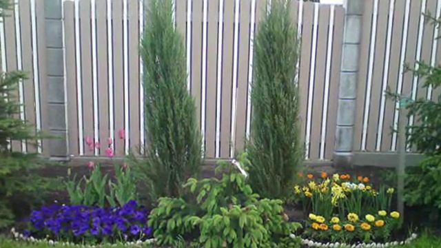 Красивые композиции сада из разных растений. Как украсить сад смотреть онлайн