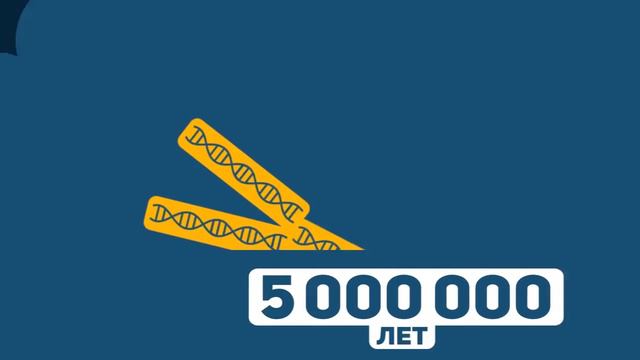 ЧТО ПРОИЗОЙДЁТ ЧЕРЕЗ 10 КВИНТИЛЛИОНОВ ЛЕТ? смотреть онлайн