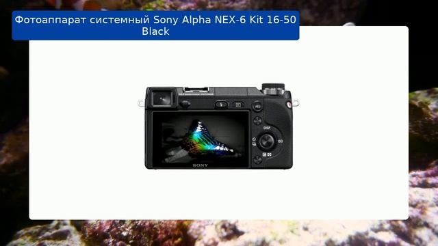 Фотоаппарат системный Sony Alpha NEX-6 Kit 16-50 Black обзор и отзыв смотреть онлайн