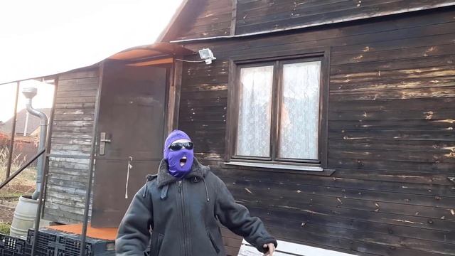 Нападение осы, друг лишился головы смотреть онлайн