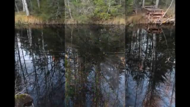 Эко-занятие "Вода вокруг нас" смотреть онлайн