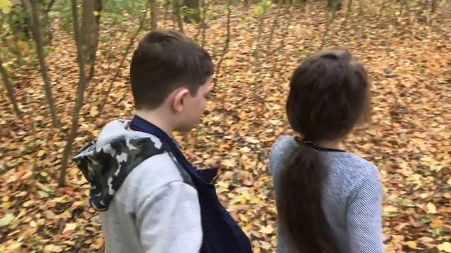 Идем с Асей на дачу. Штральзунд. Германия. 27.10.2018 смотреть онлайн