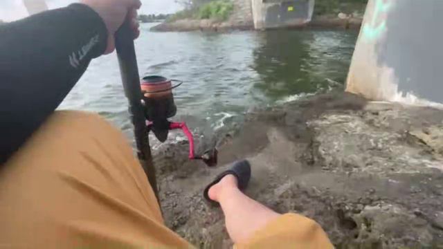 2024年08月30日 第4回　野外学習！Okinawa！！！(Lv345669626) 七原くん (ななはら) 七原浩平 003