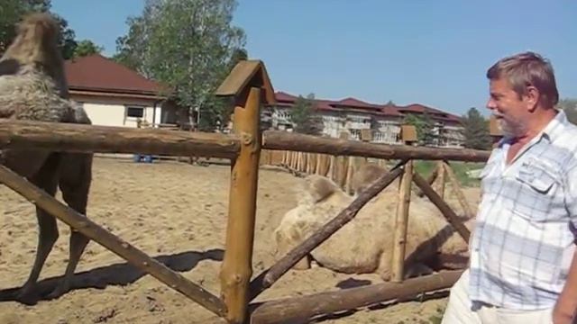 Невероятная покупка смотреть онлайн