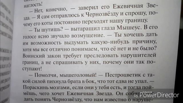 {Коты-Воители} Спец издание ~Гроза Ежевичной Звезды~ смотреть онлайн
