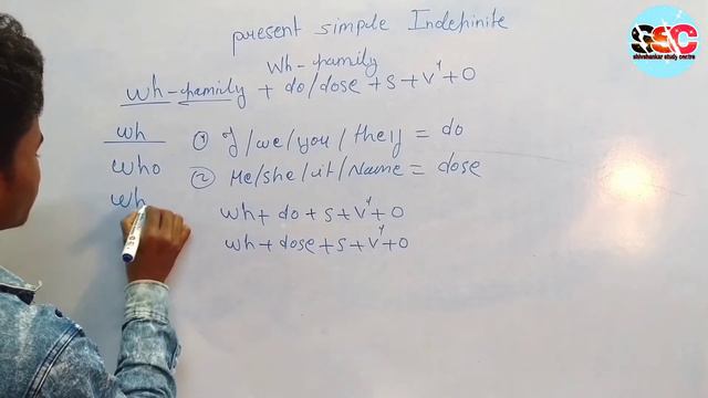 Present Indefinite Tense Wh Family Sentences in Hindi | simple WH family Hindi and English смотреть онлайн