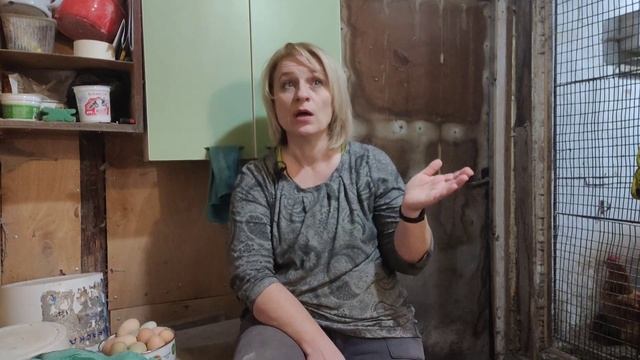 Витамины Курам с Максимальной Эффективностью. смотреть онлайн