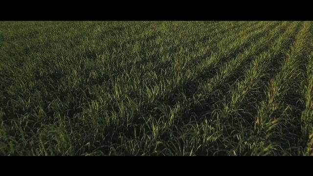 Townsville, Australia - 4K Drone Video! смотреть онлайн