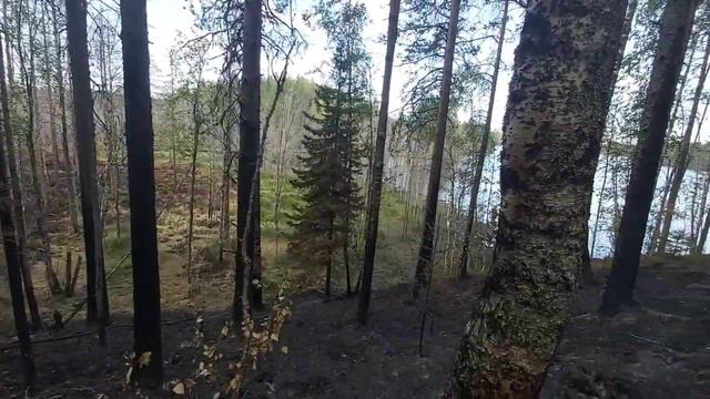 Рыбалка в Карелии июль 2021 года смотреть онлайн