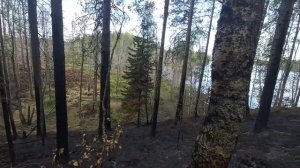 Рыбалка в Карелии июль 2021 года