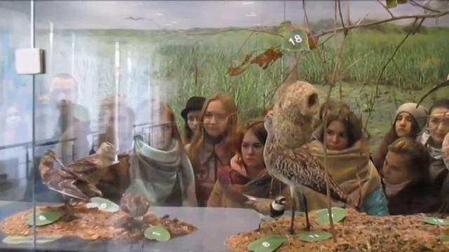 Полоцк - Березинский заповедник - Хатынь / 21-22.10.2017 смотреть онлайн