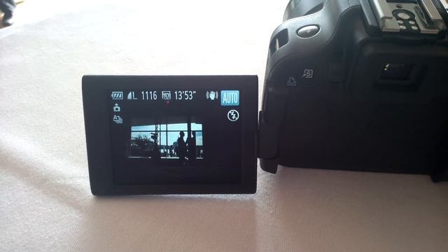 Canon PowerShot SX50 HS Zoom In Action