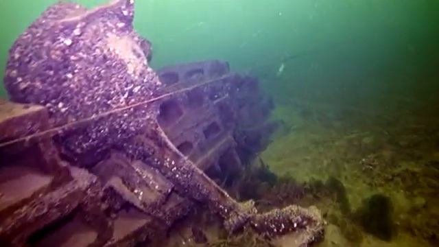 Scuba Park Dec 29 2019 смотреть онлайн