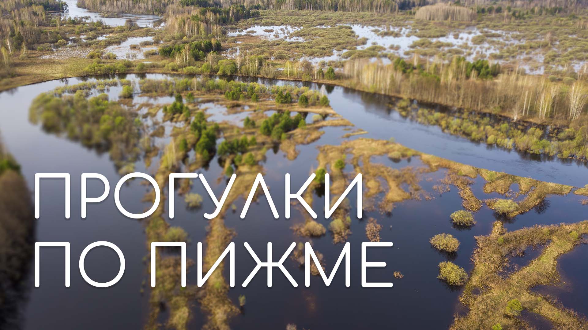 ПИЖМА — прогулки на моторной лодке и лесам заказника «Пижемский» смотреть онлайн