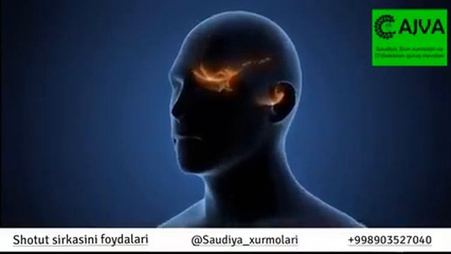 Тутни сиркаси,(уксус) смотреть онлайн