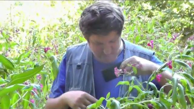 Николай Берег сердца стук от Евгения. смотреть онлайн