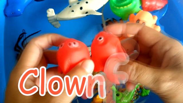 Animals for Kids | Learn Wild Zoo Animals and Sea Animals for Kids with Shark Toys | Color Kids смотреть онлайн