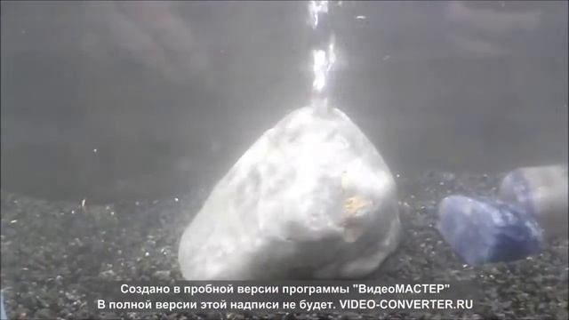Аквариум оформление Аэратор петрос смотреть онлайн