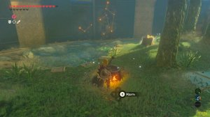 Прохождение№73The Legend of Zelda Breath of the Wild Высший меч истинная сила
