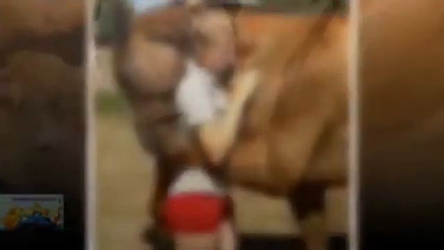 Забавные животные, которые ведут себя как люди!