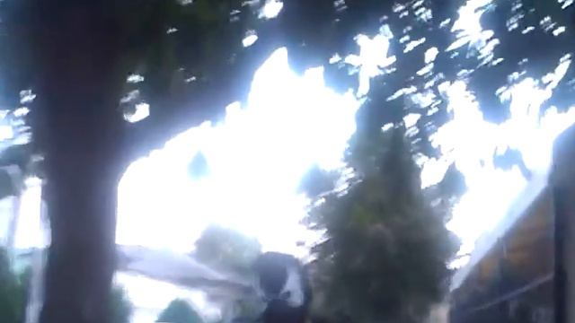 Песня Дед Максим в исполнении ворона смотреть онлайн