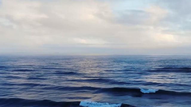 ЖИЗНЬ НА НОВОЙ ЗЕМЛЕ (МИР СВЯТЫХ) смотреть онлайн
