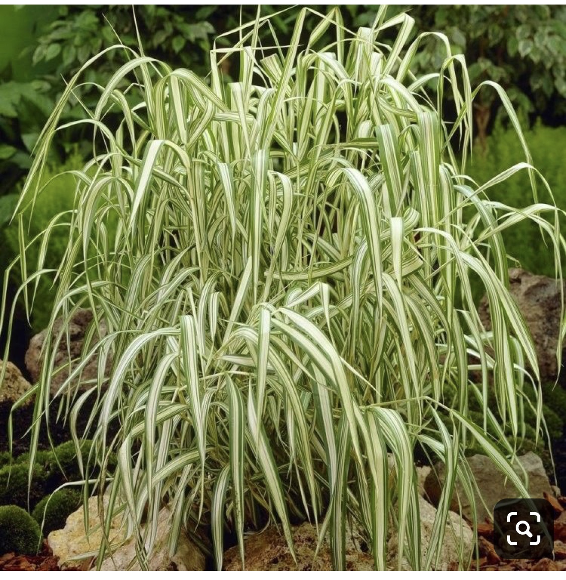 Мини обзор садика . смотреть онлайн