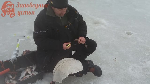 Последний лед. Отчет за 21.03. смотреть онлайн