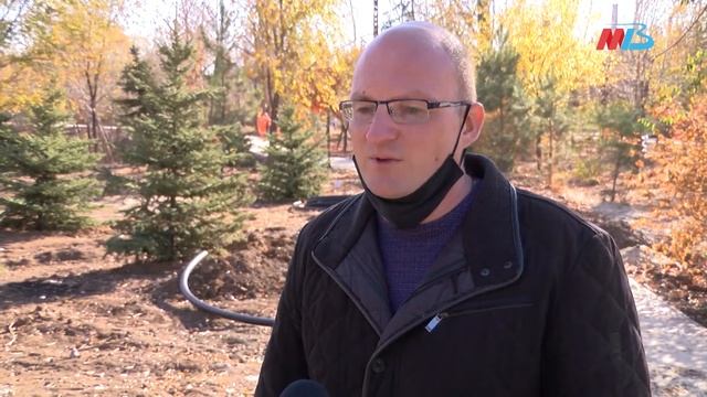 Одному из старейших парков Волгограда вернули вечнозеленые деревья смотреть онлайн